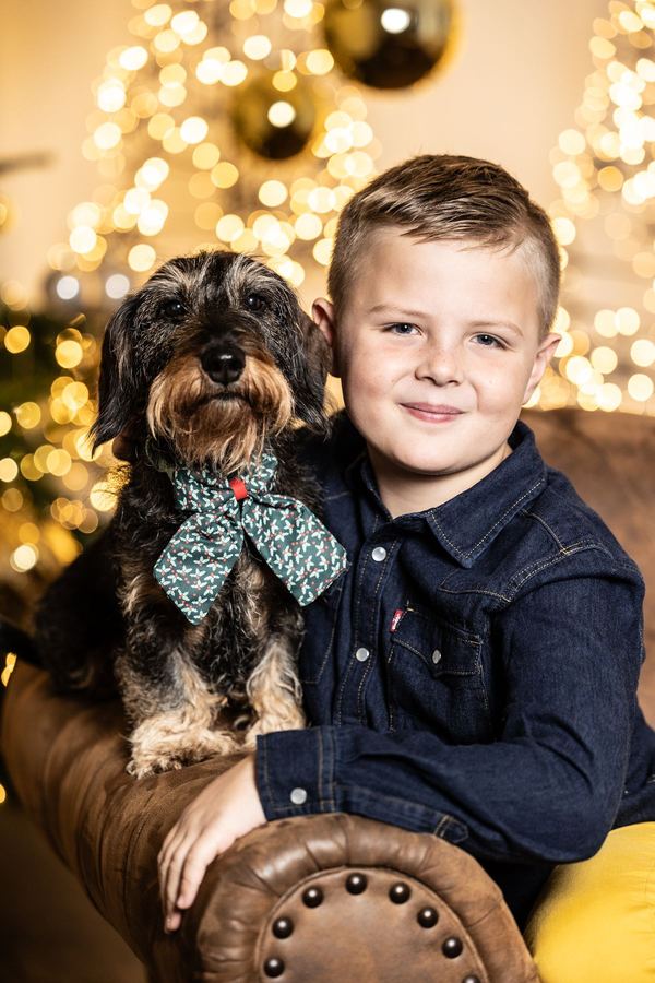 Junge mit Hund auf dem Ledersofa